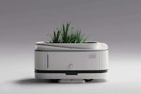 Cult Film-Inspired Pet Plants Image 1