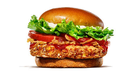 Vegetarian Bean-Based Burgers