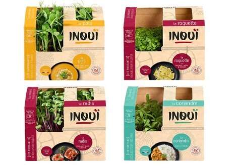 Ready-to-Pick Microgreen Varieties