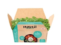 Ready-to-Pick Microgreen Varieties Image 2