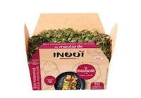 Ready-to-Pick Microgreen Varieties Image 3