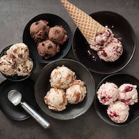 Dairy-Free Frozen Dessert Collections