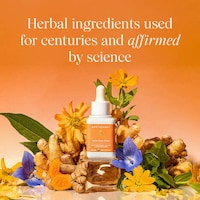 Digestive Support Tinctures Image 2