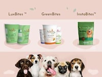 AI-Powered Pet Meals Image 1