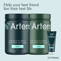 Dog Longevity Supplements Image 1