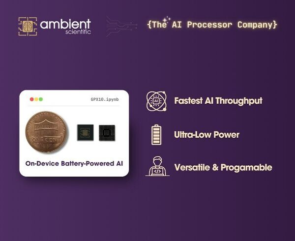 Efficient AI Processors