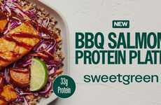 Protein-Rich Salmon Entrees