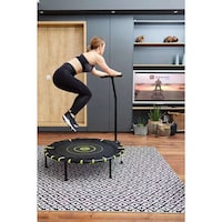Multi-Beneficial Fitness Trampolines