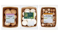 Paper-Made Mushroom Packaging Image 1