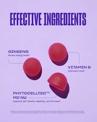 Day-to-Night Wellness Gummies Image 4