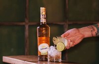Non-Alcoholic Liqueurs Image 3