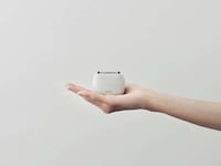 Palm-Sized Shavers Image 1
