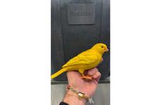 Canary-Inspired Fashion Clutches