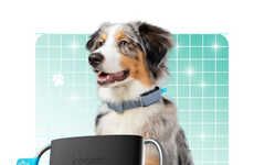 Smart Health-Monitoring Dog Collars