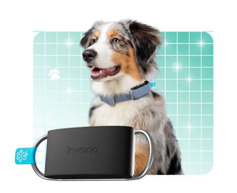 Smart Health-Monitoring Dog Collars