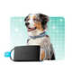 Smart Health-Monitoring Dog Collars Image 1