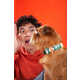 Charm-Adorned Dog Collars Image 2