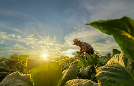 Expanding Agricultural Ventures