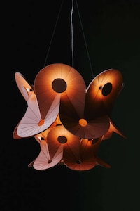 Sustainable Acoustic Lighting Designs Image 1