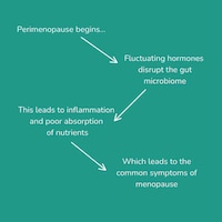 Science-Led Menopause Probiotics Image 2