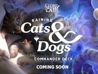 Animal-Themed Game Cards Image 1