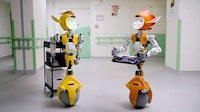 Healthcare Assistant Robots Image 1