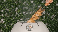 Outdoor Skewer-Based Cookers