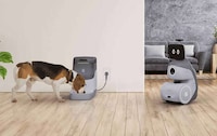Reactive Robotic Dog Companions Image 2