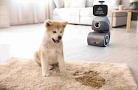 Reactive Robotic Dog Companions Image 3