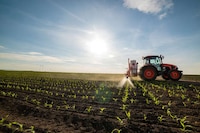 Preventative Plant Fungicides Image 1