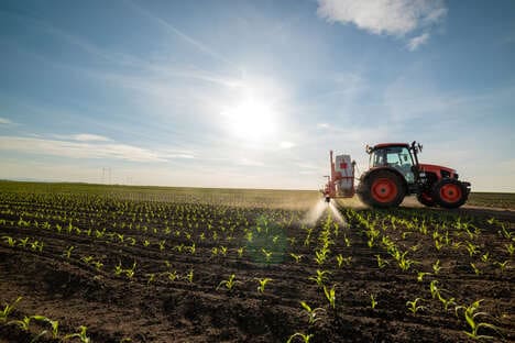 Preventative Plant Fungicides