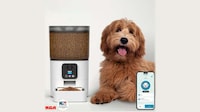 Remote Pet Care Systems Image 2