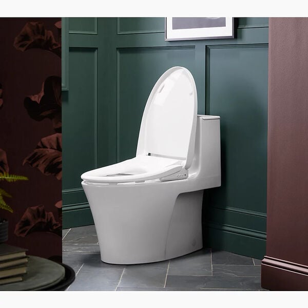 Smart Bidet Toilet Seats