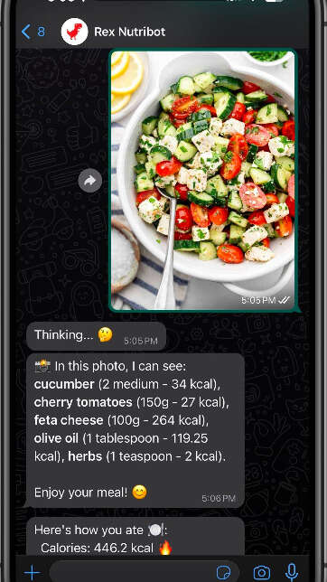 Fitness-Tracking AI Chat Bots