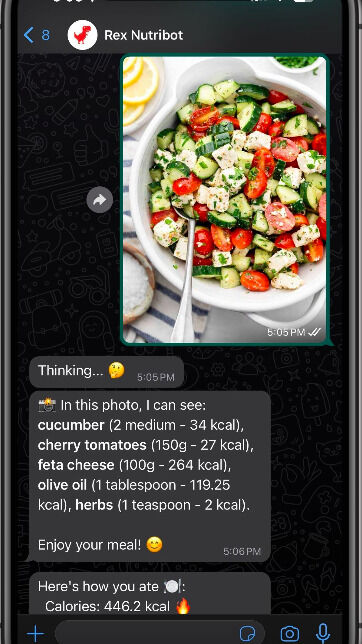 Fitness-Tracking AI Chat Bots