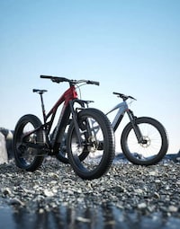 Terrain-Traversing eBikes Image 2