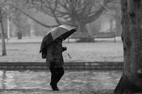 Umbrella-Resembling Playful Lamps Image 1