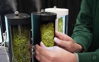 Moss Terrarium Air Humidifiers Image 1