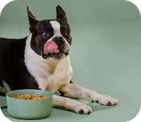 Deliverable Human-Grade Dog Food Image 1