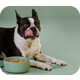 Deliverable Human-Grade Dog Food Image 1