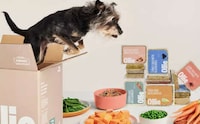 Deliverable Human-Grade Dog Food Image 3