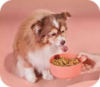 Deliverable Human-Grade Dog Food Image 4