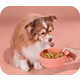 Deliverable Human-Grade Dog Food Image 4