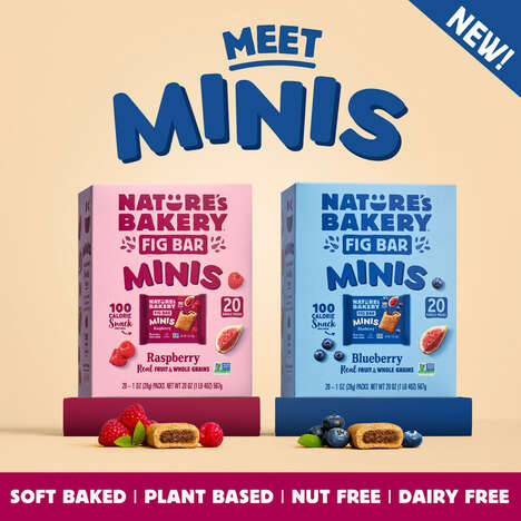 Pocket-Sized Snack Bars