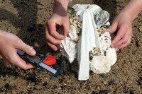 Bio-Cement Oceanic Structures Image 5
