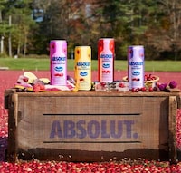 Fruity Vodka Crossover Drinks