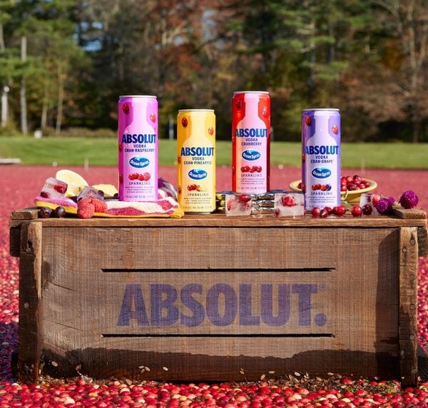 Fruity Vodka Crossover Drinks