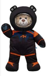 Plush Space-Traveling Bears