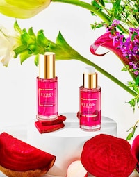 Upcycled Beet Serums Image 2