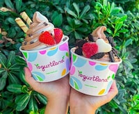 Extra-Chocolatey Frozen Yogurts Image 1